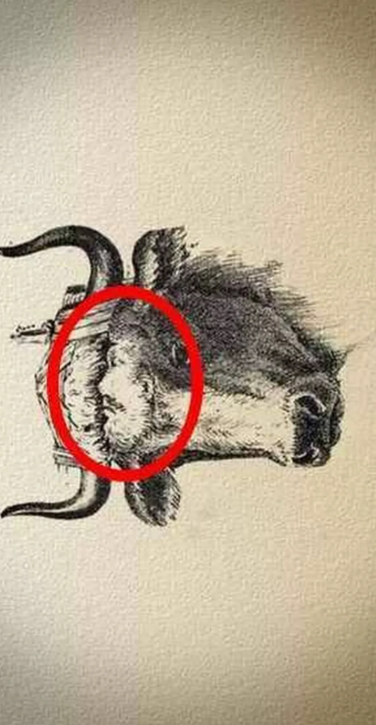 Evo rješenja/