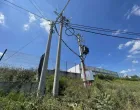 Rode uginule zbog trafostanice/Goran Dakić/