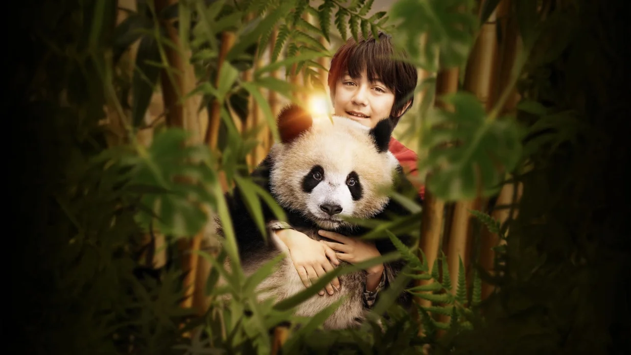 Najava za Moon veliki panda/