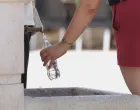 vrućina hladovina odmaranje/Senad Gubelić