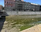 Alge "zavladale" Miljackom/Amir Papić