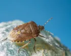 Zaštitite svoj dom ovim jednostavnim koracima/Free Pik