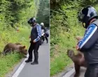 Turista koji se uslikao sa medvjedom neposredno prije smrti/X