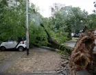 07.07.2025., Zagreb - U prijepodnevnim satima oluja je poharala Zagreb. U Ulici Bozidara Magovca stablo se srusilo na cetiri automobila. Photo: Zeljko Lukunic/PIXSELL/Zeljko Lukunic/pixsell