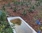 Oduzeti droga i oružje/FUP/