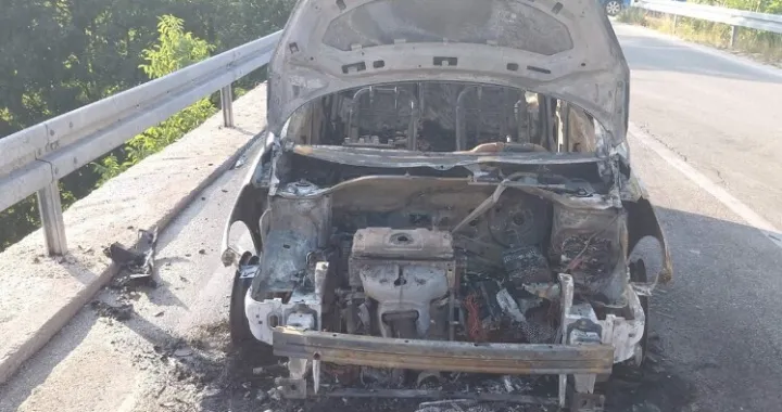 Vatra "progutala" vozilo/Srna//