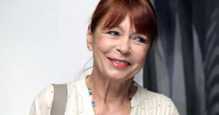 Neda Arnerić/