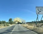 Na terenu vatrogasci/Branka Soldo/Fena/Branka Soldo