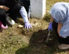 30. godišnjica genocida u srebrenicigenocid, srebrenica, potočari/Damir Deljo