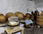 Gatački kajmak ilustracija/