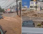 poplave sad/X