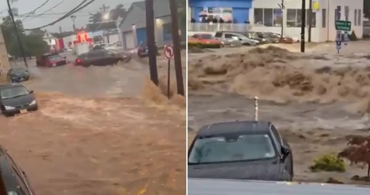 poplave sad/X