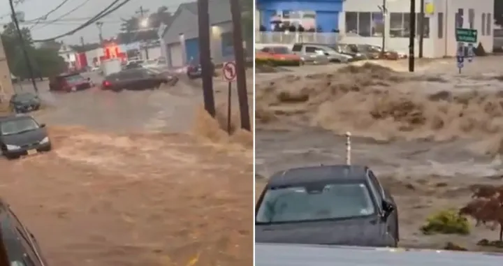 poplave sad/X