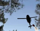 Dignut i helikopter/MO BiH//