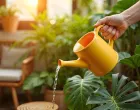 Savjeti za očuvanje vrta tokom ekstremnih temperatura/Free Pik