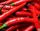 kajenska paprika/