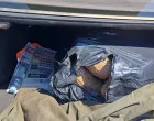 akcija insajder, zaplijenjeno 27 kg marihuane/Nezavisne novine/Nezavisne Novine
