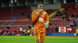 Nikola Milićević 