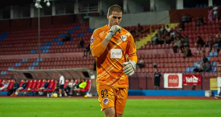 Nikola Milićević 