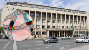 ZZJZ FBiH/