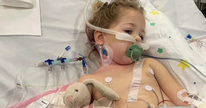 Millie očekuje još nekoliko operacija/GoFundMe/
