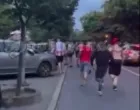 FK Crvena zvezda