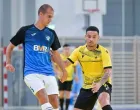Davor Arnautović Linz