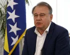 nermin nikšić fena/