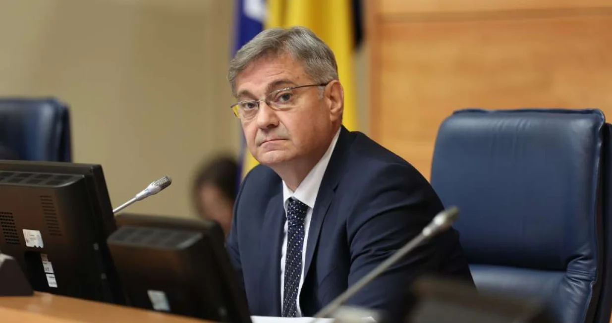 denis zvizdić pd psbih/