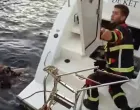 Vatrogasci u akciji spašavanja na Jadranu/Dalmacija Danas