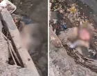 Jeziv prizor - mrtve svinje u Vrbasu/Srpska Info