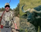 AMERIČKI milijunaš i lovac na trofeje, Asher Watkins (52), smrtno je stradao tijekom lovačkog safarija u Južnoj Africi nakon što ga je napao i usmrtio afrički bivol težak 1,3 tone/The South African
