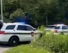 pucnjava u americi, ranjena dvojica policajaca/Screenshot/Screenshot 
