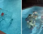 Nizozemci se zabavljaju u bazenu/Tiktok