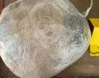 Oduzeta droga/MUP TK//