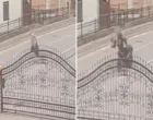 Motociklista, pješak, stravična nesreća, Gradačac, MUP TK, snimak/Prtsc