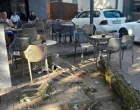 Pala grana/Nezavisne//