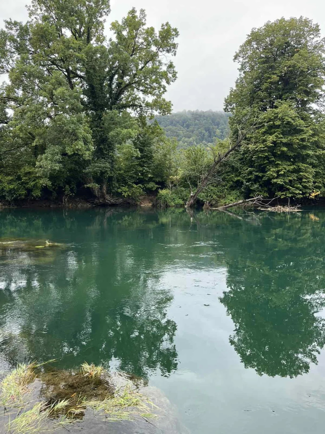 Una /FARUK ŠEHIĆ/