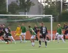 Valgeirsson postigao autogol (FOTO: Screenshot/Arenasport)/Foto: 