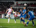 zrinjski siroki bilbija skarice/Foto: 