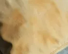 Zaboravite skupa hemijska čišćenja/Pinterest