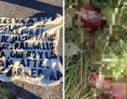 Glave pronađene u pokrajinama koje se smatraju prilično mirnim/X/