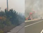Požar kod Neuma/Neum Online