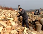 Cijpa drva/
