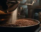 kafa, proiuzvodnja kafe, prerada kafe/