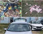 Oduzeti novac, puška i drugi dokazi/MUP TK/