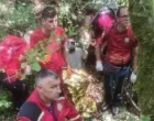 Okončana potraga/GSS BiH//