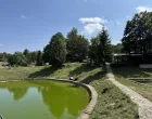 Javor Wood Festival pretvara planinu u galeriju pod otvorenim nebom/Nihad Katica
