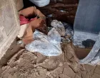 Dajana Majić, kuća, Fojnica, poplave/