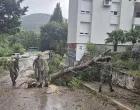 Pripadnici OS BiH/MO BiH//